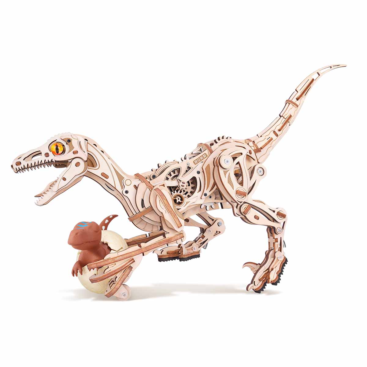 ROKR Velociraptor Mechanical Model Kit completed product view