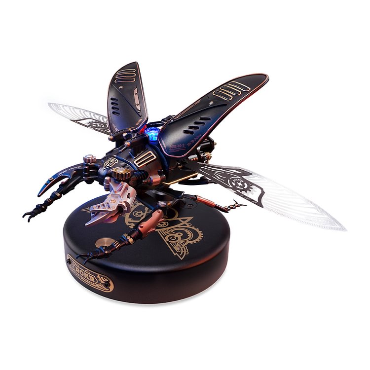 ROKR Storm Beetle Mechanical Model Kit official product view 2