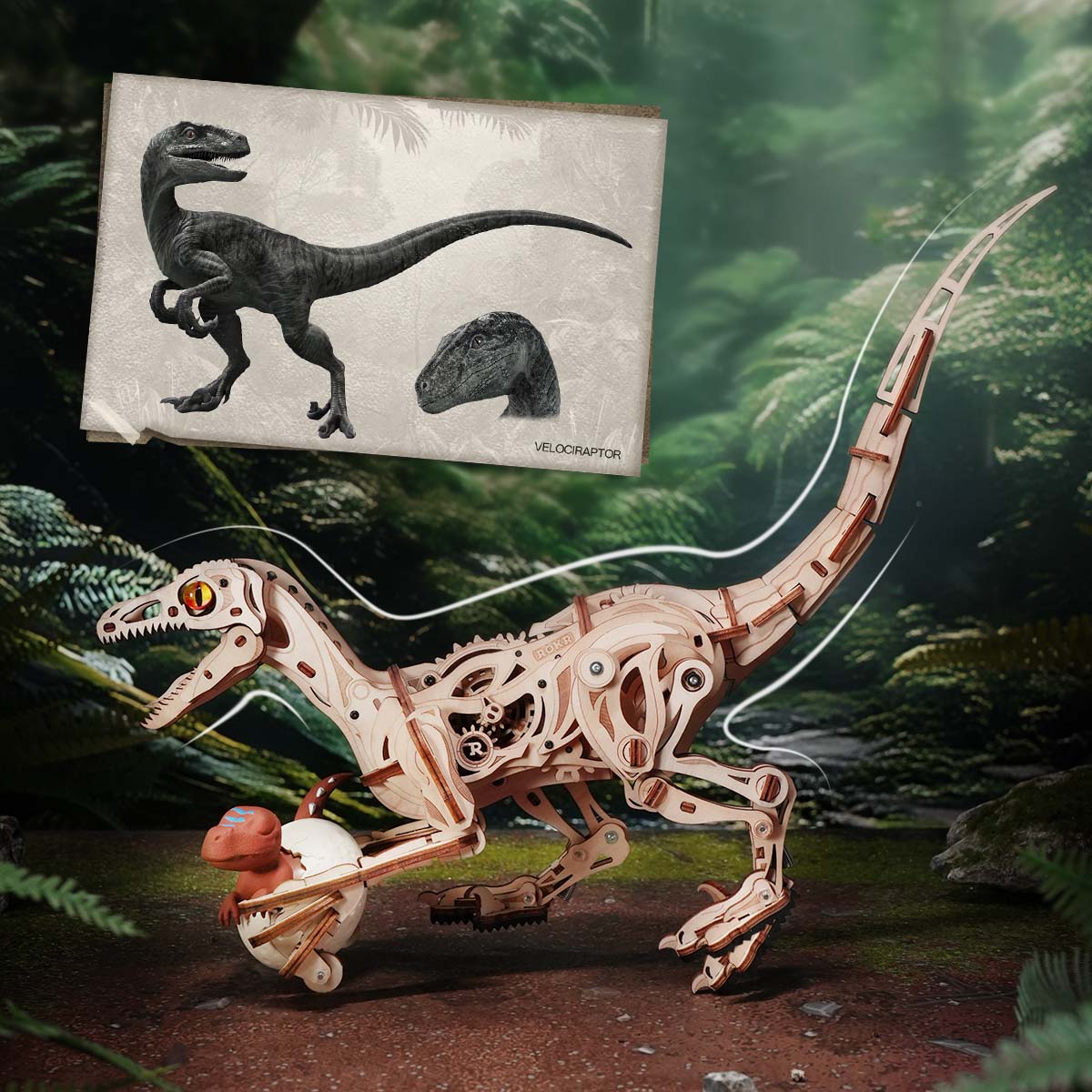 ROKR Velociraptor Mechanical Model Kit official detail view 4