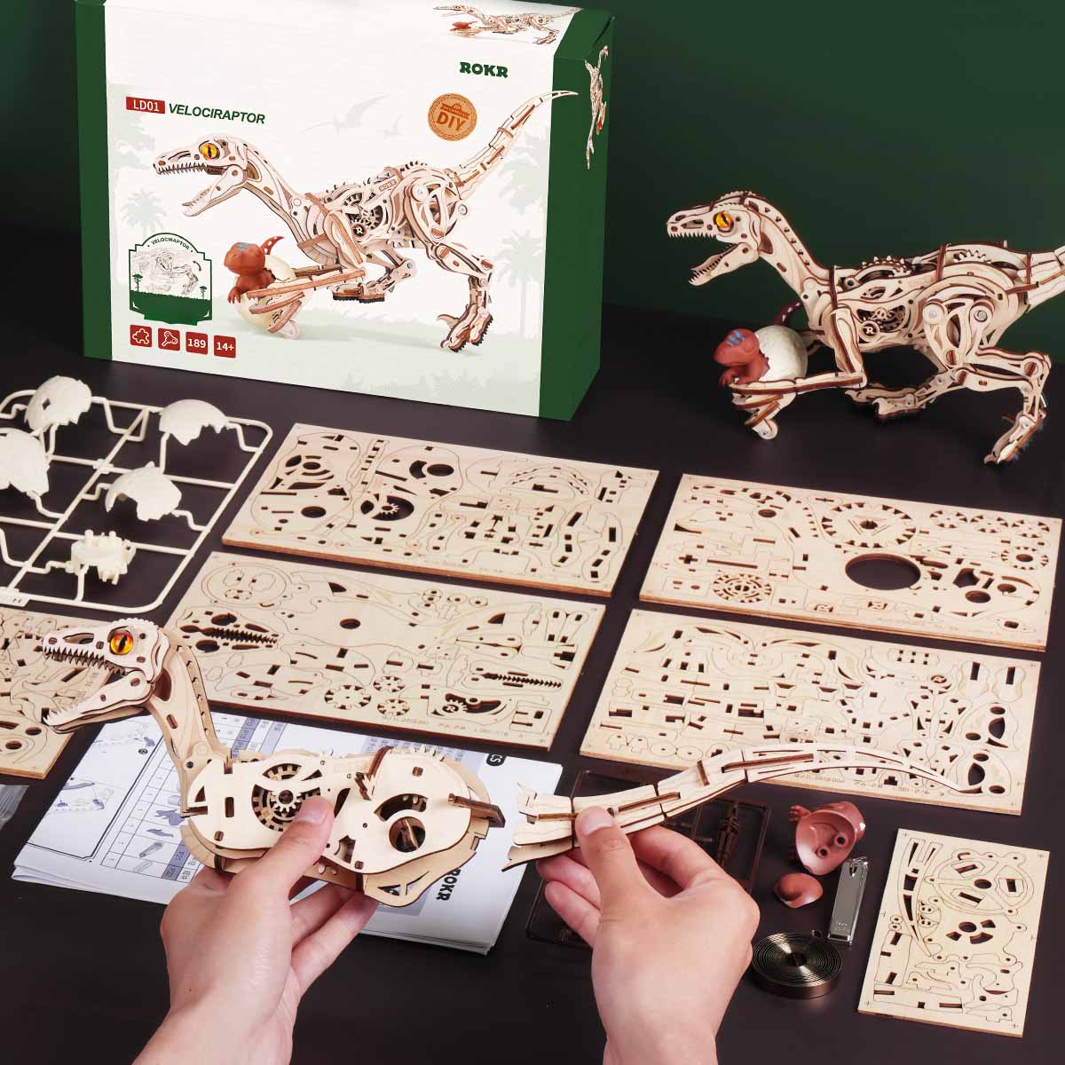 ROKR Velociraptor Mechanical Model Kit official detail view 6