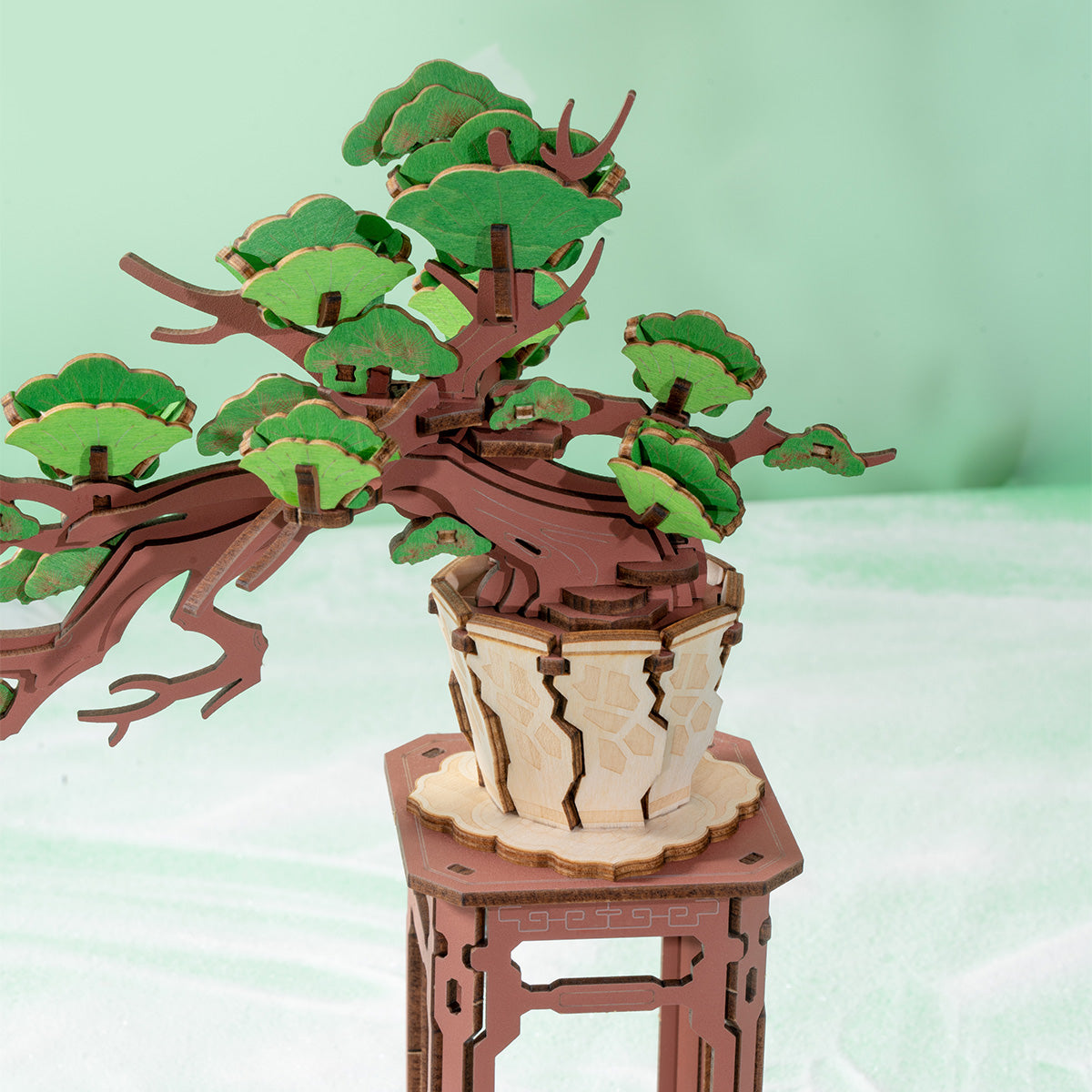 Rolife Evergreen Pine Bonsai Wooden Model Kit official product view 4
