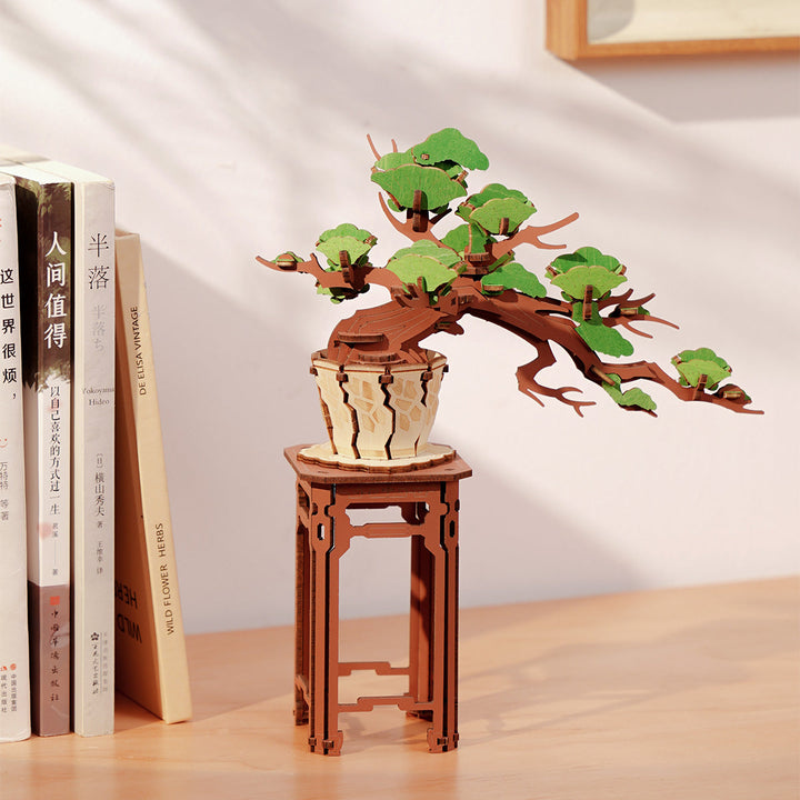 Rolife Evergreen Pine Bonsai Wooden Model Kit completed product view