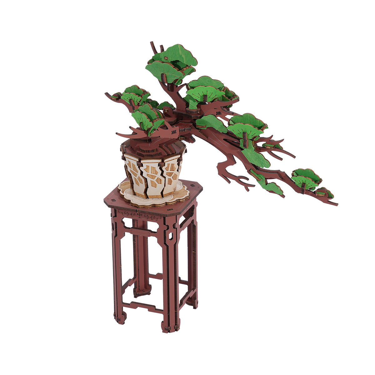 Rolife Evergreen Pine Bonsai Wooden Model Kit official product view 2