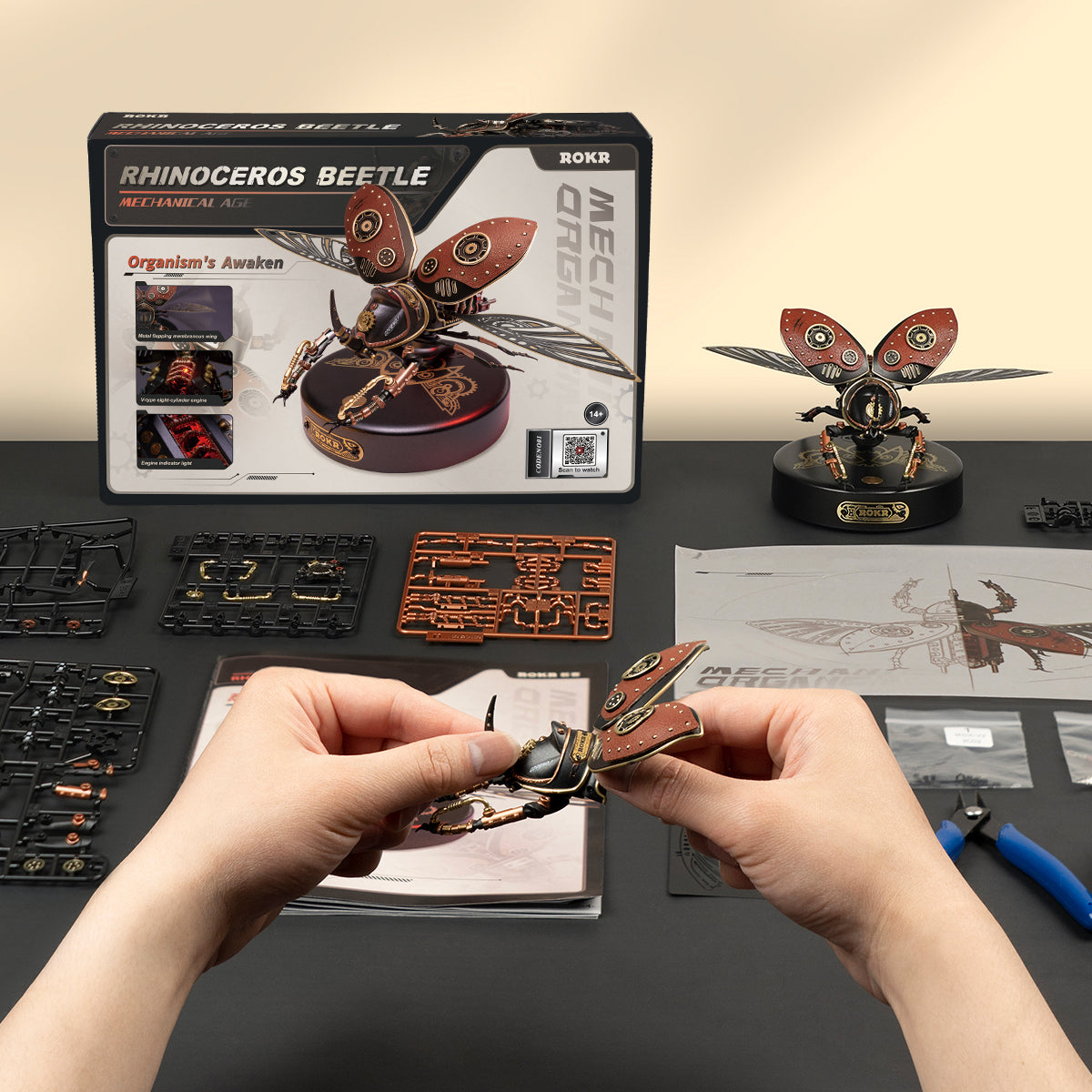 ROKR Rhinoceros Beetle Model Kit official product view 5