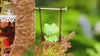 Fairytale Tree House Miniature Kit product video