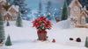 Rowood Poinsettia Flower Kit product video