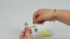 Rowood Green Rose Creative Kit product video