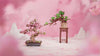 Rolife Sakura Bonsai Wooden Model Kit product video