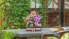 Wooden Blooming Book Flower Model Kit product video